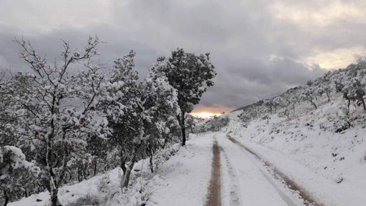 La nieve ha vuelto a caer con fuerza este viernes en la comarca de Molina de Aragón