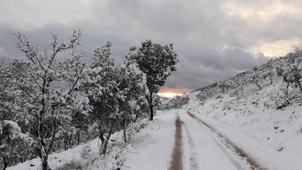 Dos rutas escolares de Guadalajara, con 5 alumnos, canceladas por la nieve