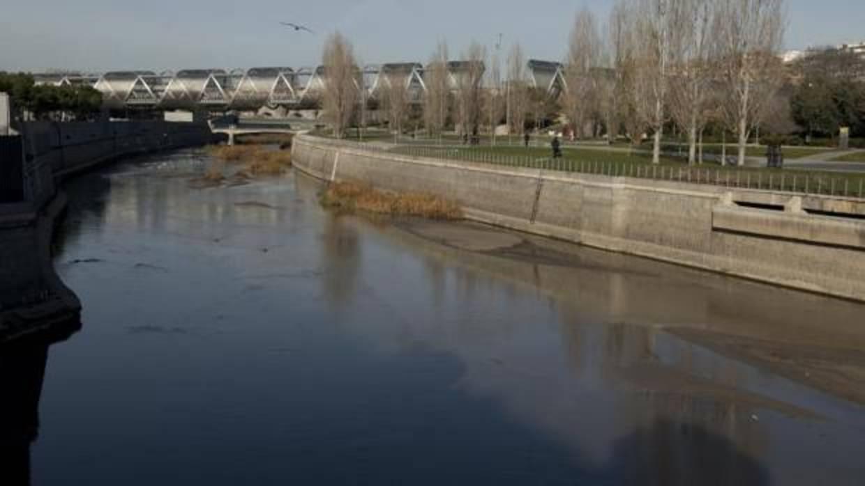 Estado actual del Manzanares, donde se han formado islas naturales, gracias a su renaturalización. Al fondo, el puente de Arganzuela