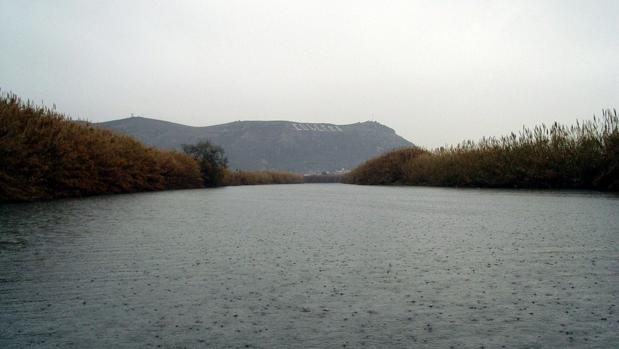 Hallan un cadáver flotando en el río Júcar a su paso por Algemesí