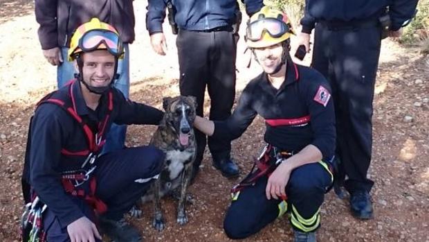 Vídeo: los Bomberos rescatan a un perro tras caer a un aljibe abandonado cuando perseguía a un conejo