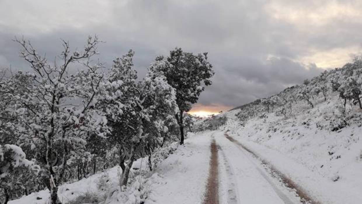 Se esperan que vuelvan las nevadas a la provincia de Toledo