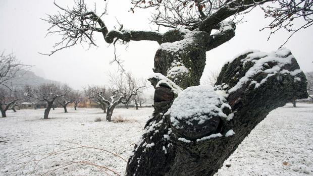 El tiempo en Valencia: la nieve se acerca al litoral y la cota caerá a los 400 metros este martes