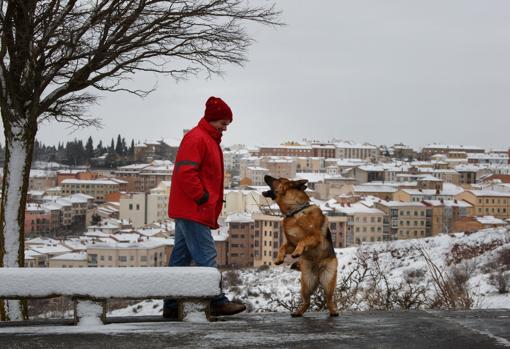 Un hombre juega con su perro en Soria