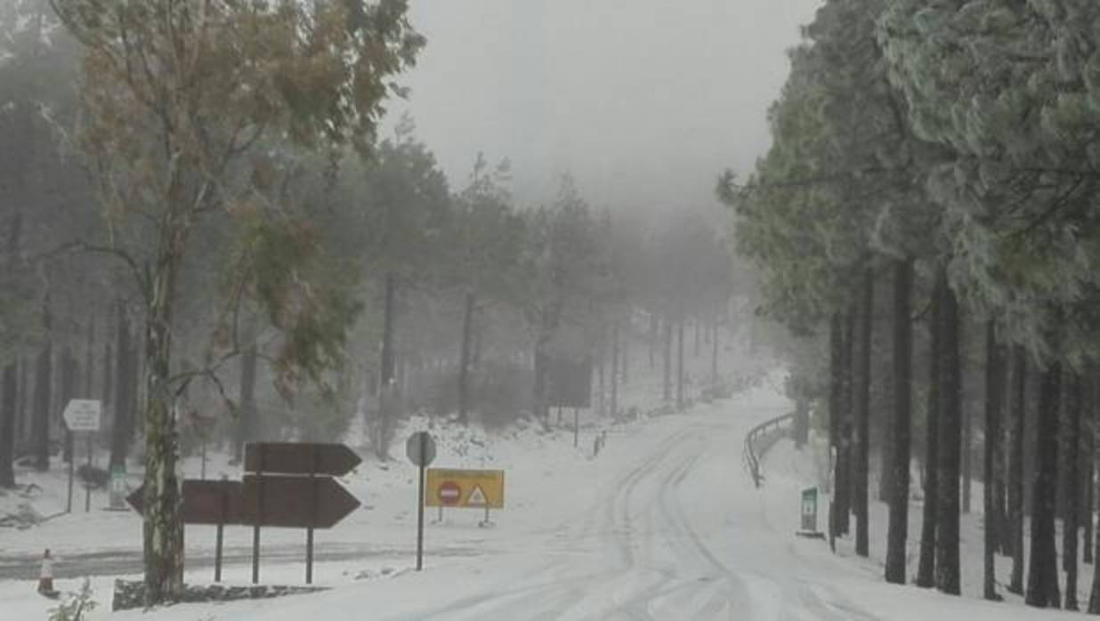 Cumbre de Gran Canaria, este jueves