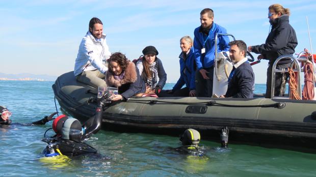 El Oceanogràfic de Valencia suelta veinte tiburones juveniles por primera vez en España