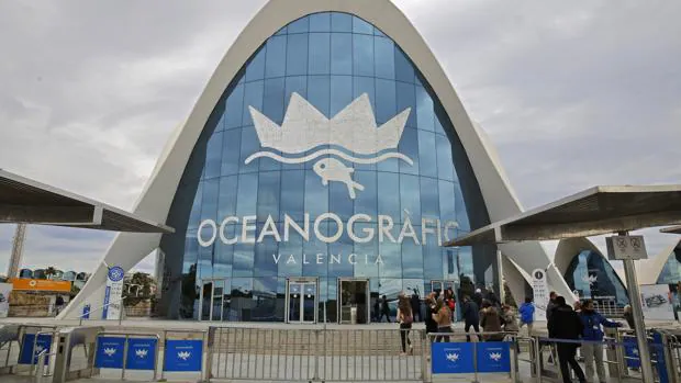 El Oceanogràfic de Valencia, quince años de amor por los animales