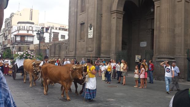 Las mercancías tienen más ayuda al transporte que los canarios