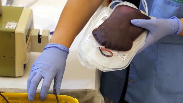 Se necesitan donaciones de sangre del tipo O-