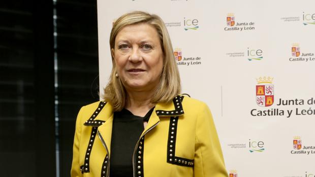 Del Olmo «puede compartir los motivos» de huelga del 8 de marzo pero no la secundará