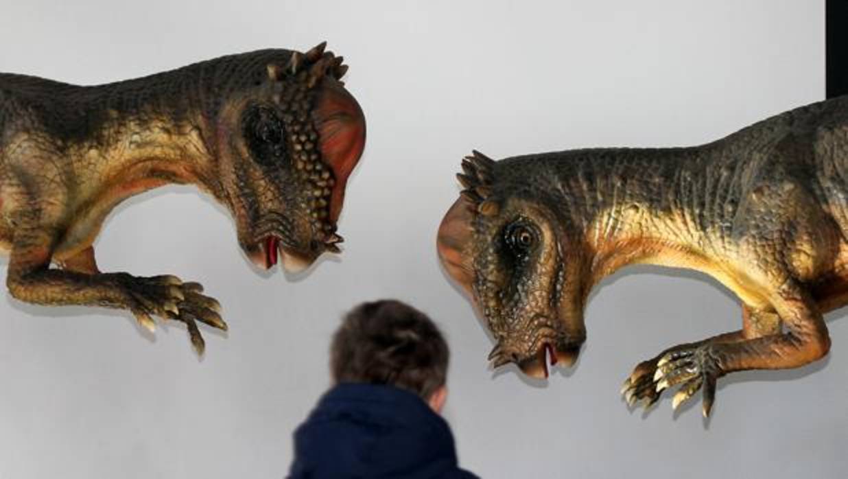 «Dinosaurs Tour» ha inaugurado en León este sábado la considerada como mayor exposición de dinosaurios animatrónicos