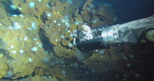 Muetsra de rocas captada por equipamiento submarino avanzado de Ifremer