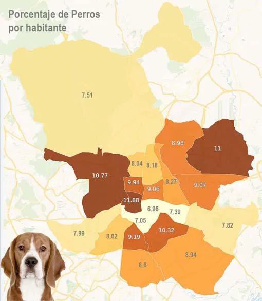 Porcentaje de perros por habitante en la capital. Elaboración propia