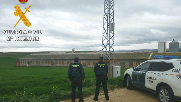 Un detenido por tres robos en explotaciones ganaderas de Chozas y Lominchar