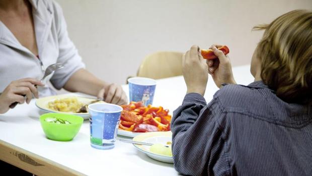 Valencia reconoce como familias monoparentales las que tengan un progenitor en prisión u hospitalizado