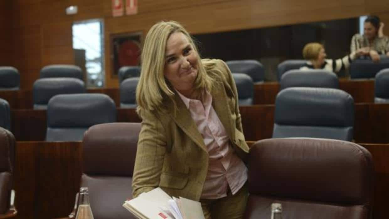 Rosalía Gonzalo, consejera de Transportes y presidenta de la gestora del PP en el distrito de Centro