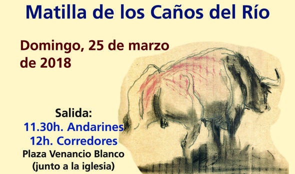 Correr entre toros bravos