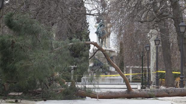 El Ayuntamiento estudia endurecer el protocolo por alerta meteorológica tras la muerte en El Retiro