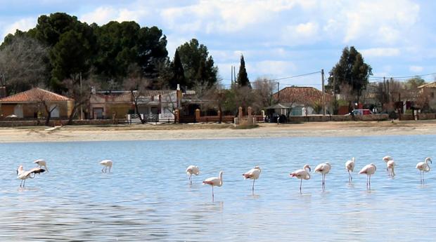 Las lagunas de Villafranca de los Caballeros, de postal