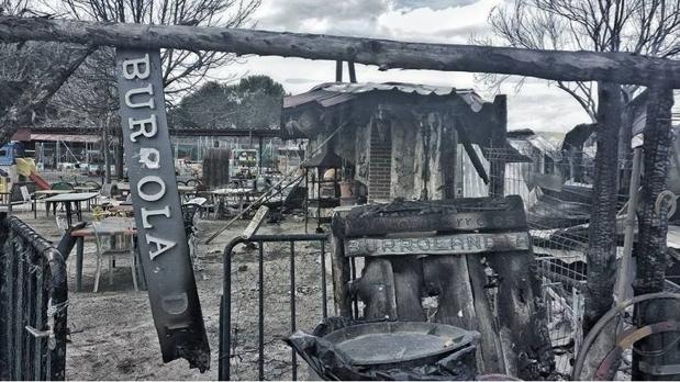 Arde Burrolandia: cien animales se salvan gracias a un milagroso cortafuegos