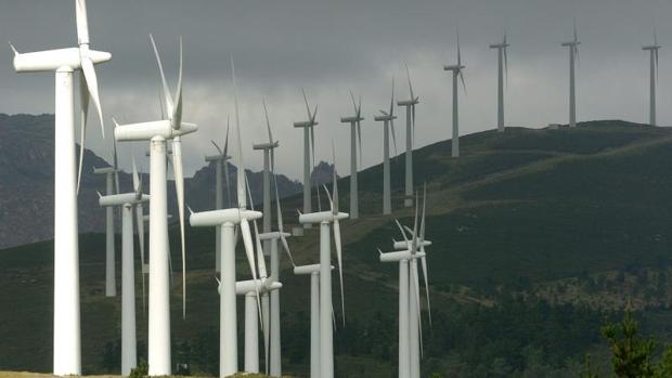 UDC y USC ofertarán este año el primer grado español en Paisaje