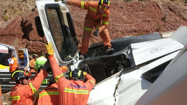 Excarcelan a un conductor de camión tras volcar y quedar sueltos los cerdos que transportaba