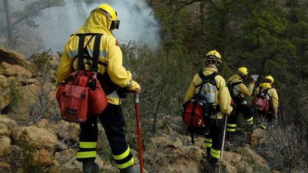 El equipo especializado «Presa» de Gran Canaria trabaja ya sobre el terreno en la extinción del fuego de Granadilla