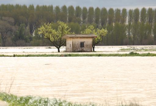 Caseta agrícola aislada en medio del agua