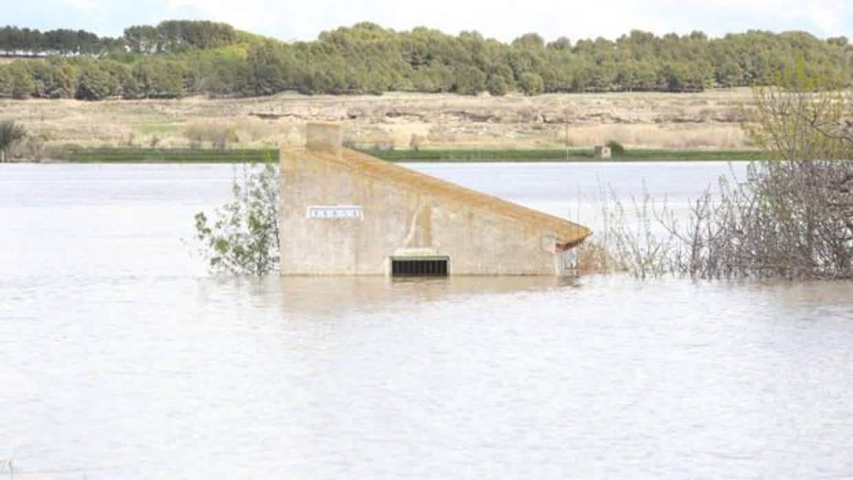 Caseta cubierta por las aguas desbordadas del Ebro en su tramo aragonés