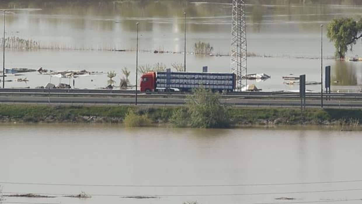 Un camión circula por una carretera totalmente rodeada por las aguas desbordadas del Ebro