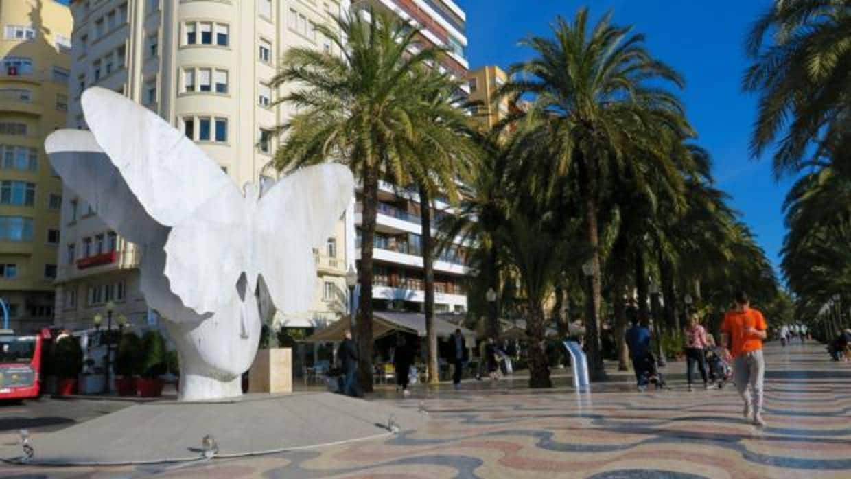Imagen de la zona de la Explanada de Alicante donde se registró la agresión el pasado fin de semana
