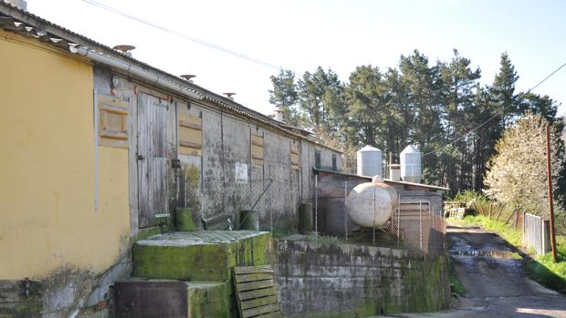 Liberan a tres hombres esclavizados en la granja de Lugo donde trabajaban