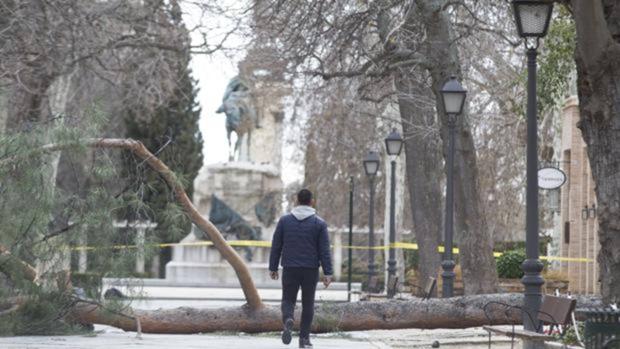 Un testigo declara ante la Fiscalía que entró en El Retiro media hora después de la orden de evacuación