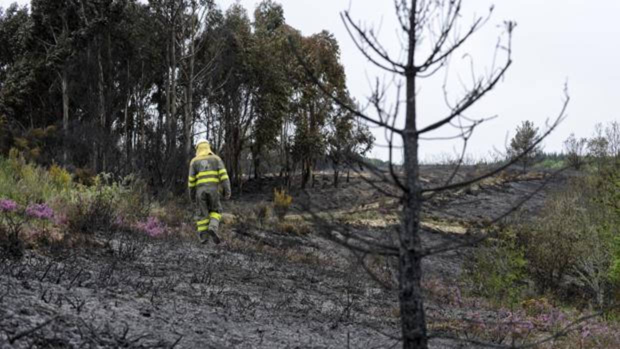 Finca tras un incendio en la localidad orensana de Riós