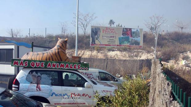 Procesan a tres responsables de un parque temático por la muerte de una trabajadora tras el ataque de un tigre