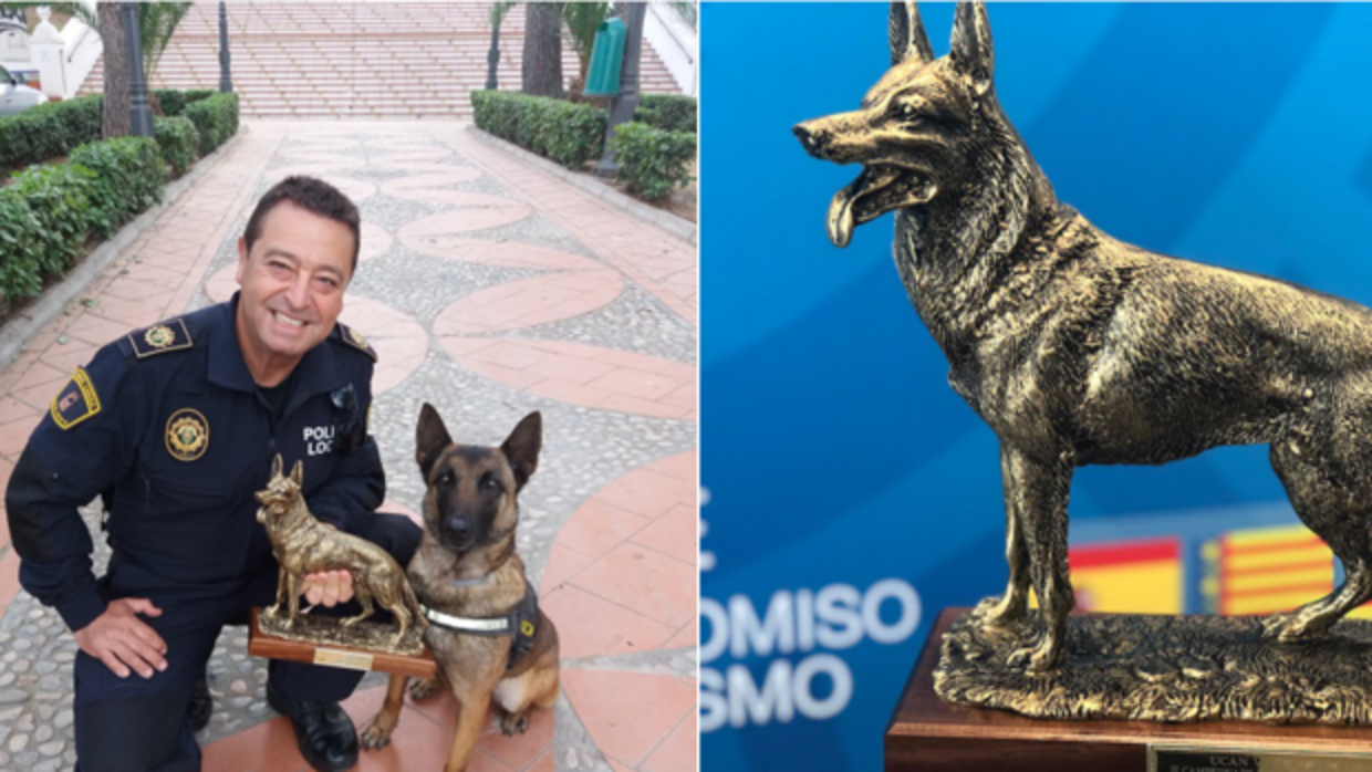 ¿Cuál es el mejor perro policía buscando droga de toda España?