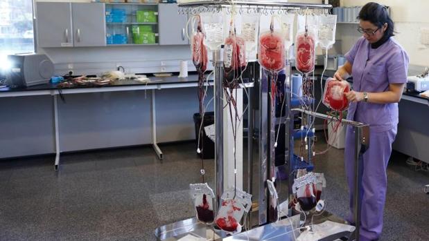 El Centro de Hemoterapia necesita donaciones de sangre «lo antes posible» del tipo A-