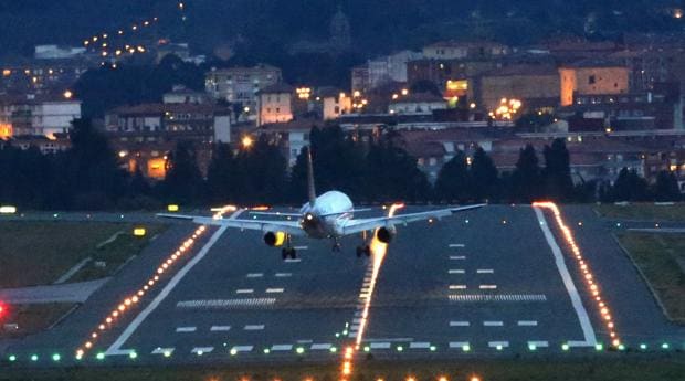 El choque de un buitre complica el aterrizaje de un avión en el aeropuerto de Bilbao