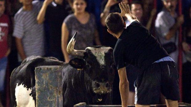 El vídeo del sufrimiento de un toro en Villarreal con el que Pérez-Reverte alerta sobre el maltrato animal