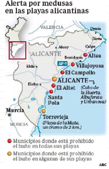 Mapa: la letal carabela portuguesa ya ha obligado a cerrar decenas de playas en siete municipios de Alicante