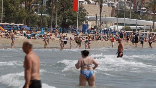 Hospitalizado un niño por una picadura de medusa carabela portuguesa en Elche