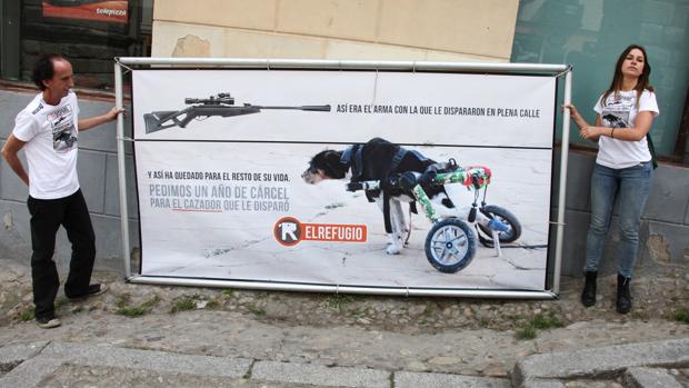 Siete meses y medio de cárcel para un exalcalde de Muñoveros (Segovia) por disparar a un perro