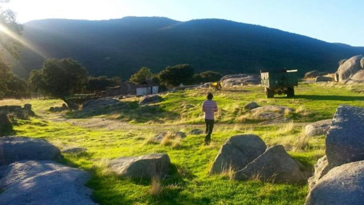 El caminante y su sombra