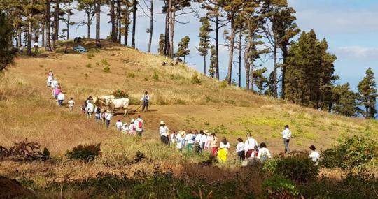 Escolares en Fuencaliente, La Palma, por el Día de Canarias