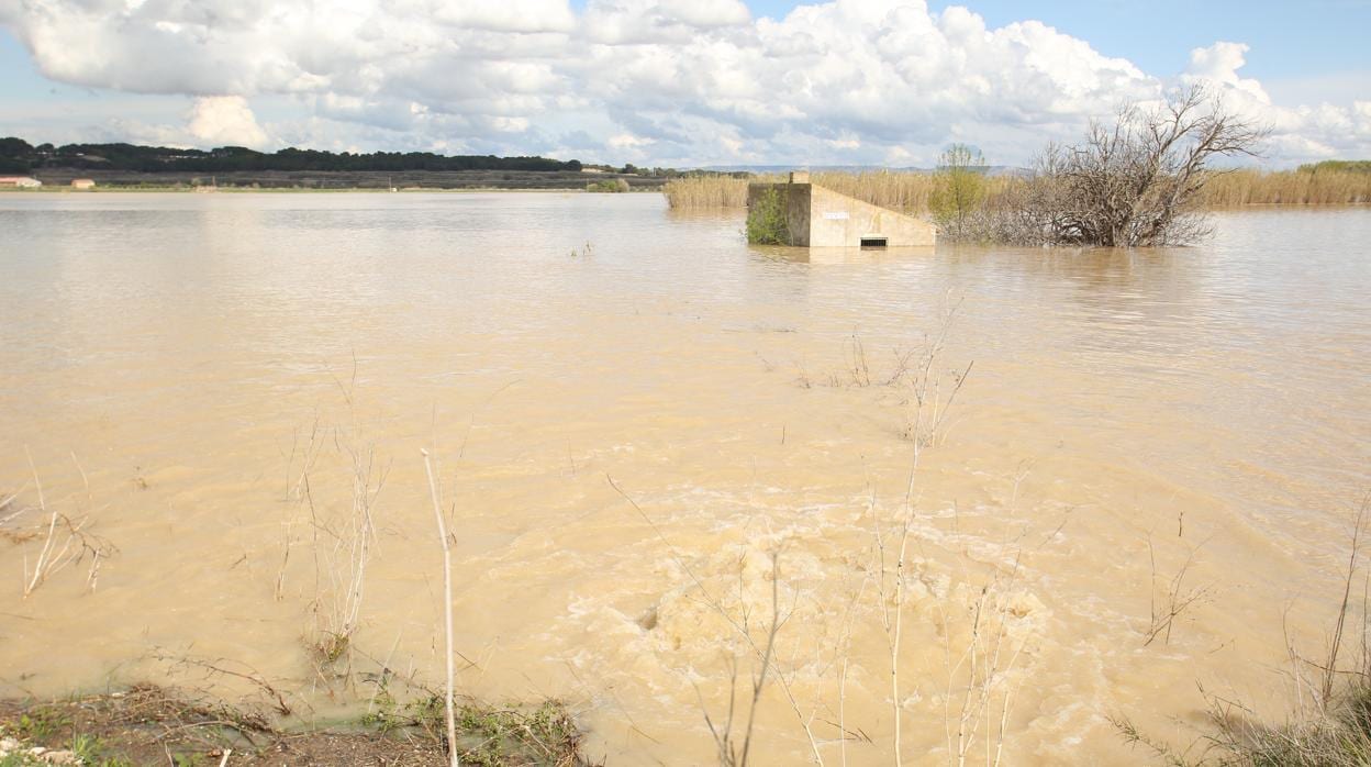 Una caseta de campo, cubierta por las aguas en las inundaciones del pasado abril