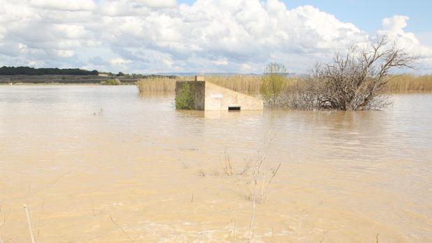 Las riadas del Ebro han fulminado más de 300 millones de euros en 15 años