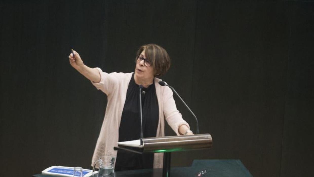 Inés Sabanés, el pasado 23 de abril, en el Pleno extraordinario de Cibeles por el árbol caído en el Retiro