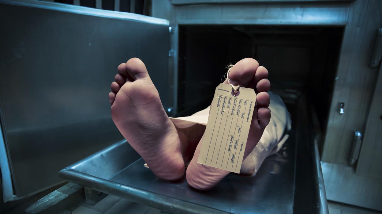 Las autopsias no invasivas permiten esclarecer las causas de la muerte a menor coste