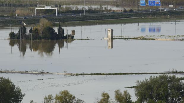 El colmo del Ebro: campos que se secan por culpa de las inundaciones