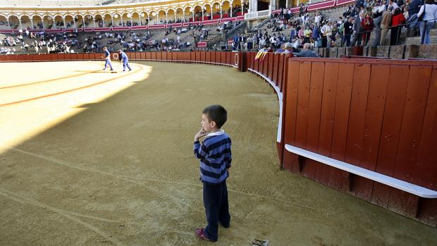 Imagen de un niño en el coso de la Maestranza de Sevilla